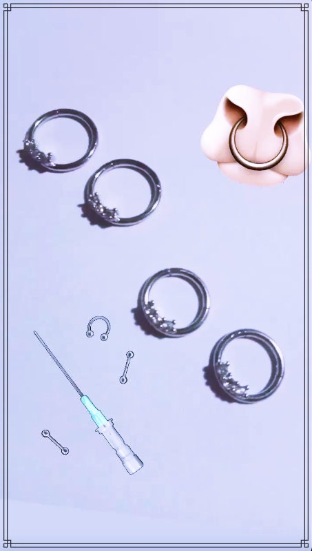 Anneaux charnières en Acier Chirurgical 316L vendu à l'unité