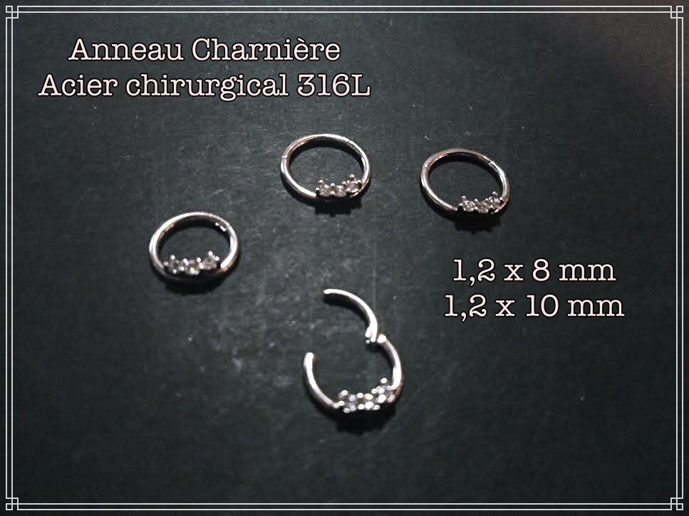 Anneaux charnières en Acier Chirurgical 316L vendu à l'unité