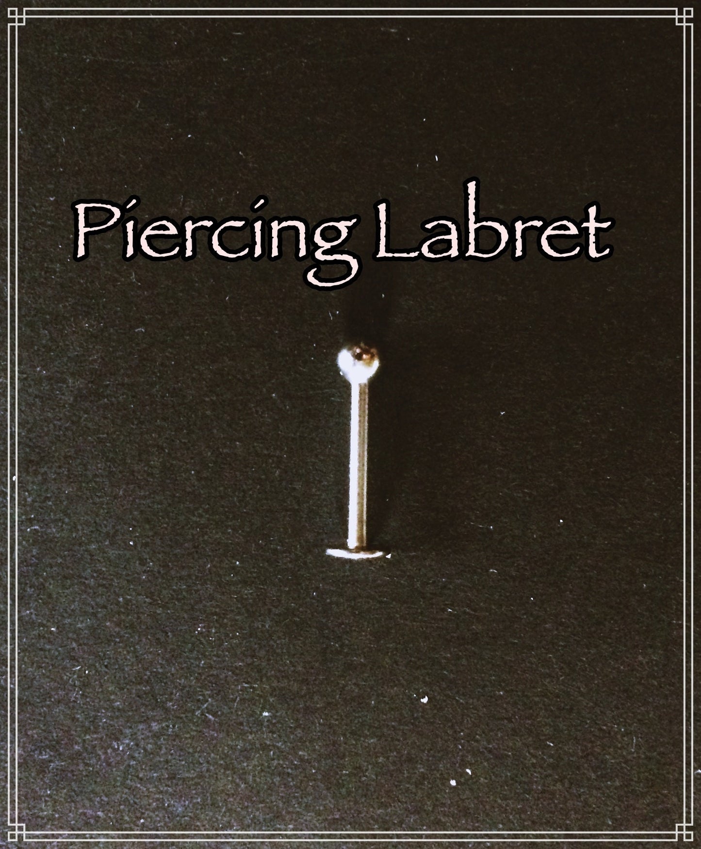 Piercing Labret en Acier chirurgical 316L .  à l'unité