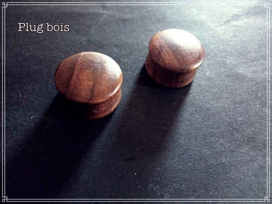 Plug écarteur oreille en bois type 03 à l'unité