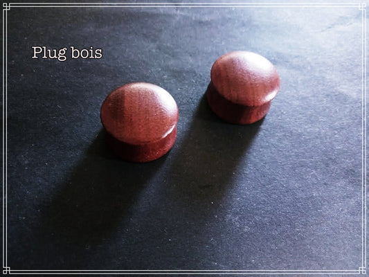 Ecarteur oreille plug en bois type 02 à l'unité
